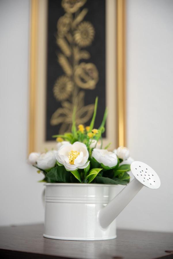Apartmani Silvana&Vera Senj  Dış mekan fotoğraf