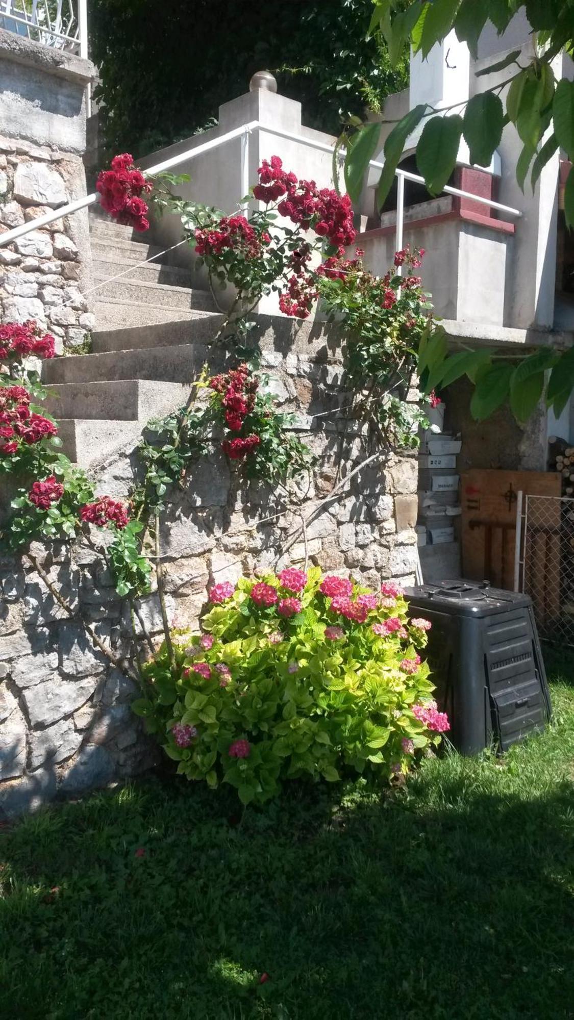 Apartmani Silvana&Vera Senj  Dış mekan fotoğraf